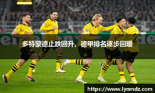 8868体育官网