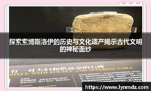 8868体育官网