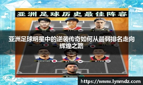 8868体育官网